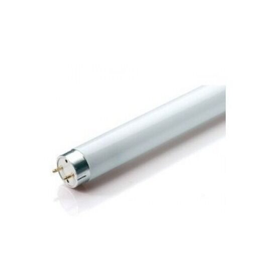 Лампа ft8 15w 54. Лампа люминесцентная l 58w840 lumilux 58вт t8 4000к g13. лампа люминесцентная l 36w765 36вт t8 6500к g13. лампа lfl t8 36w 765. люминесцентная лампа 20вт т12.